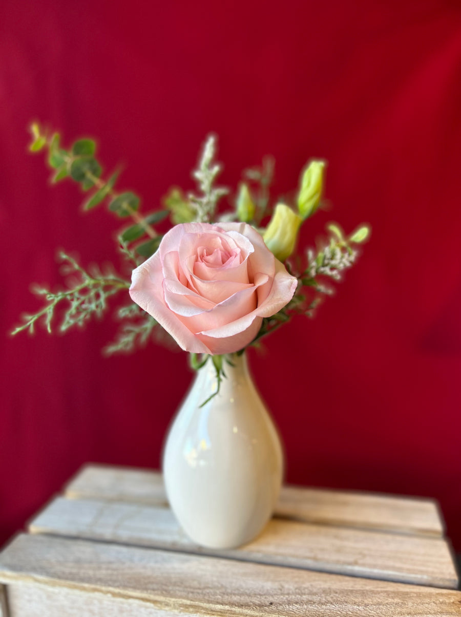 Single pink rose in white ceramic bud vase