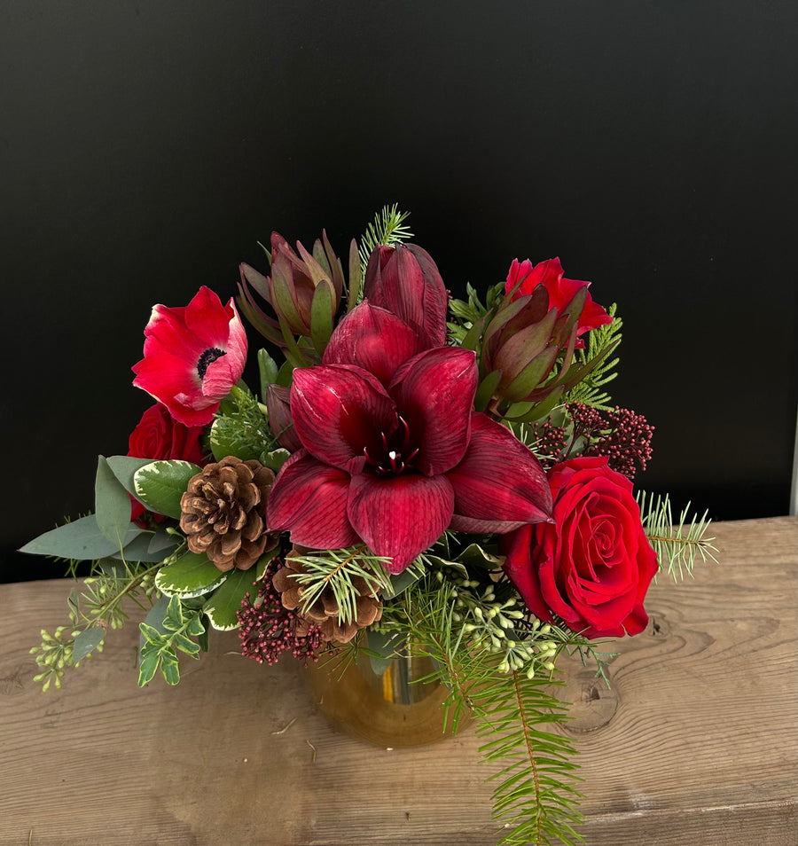 Winter red in gold pot