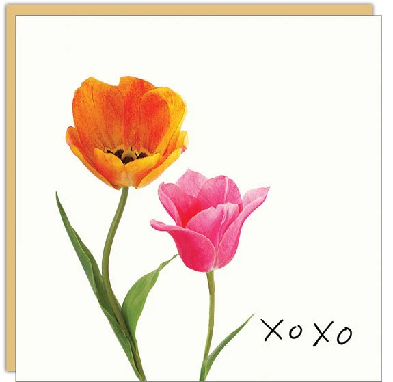 XOXOX tulip 3