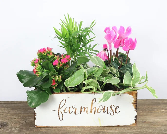 6x11 Farmhouse Planter in Wooden Container