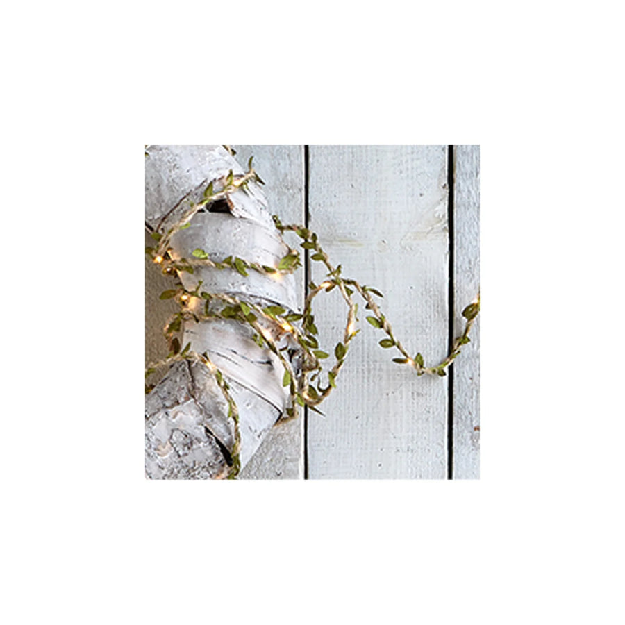 Mistletoe Wire LED String Lights Green
