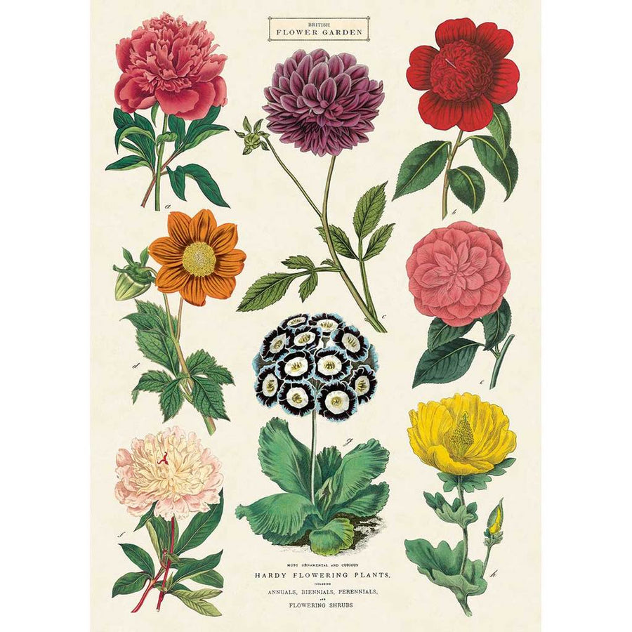 Botanica No.2 British Flower Garden Poster Wrap