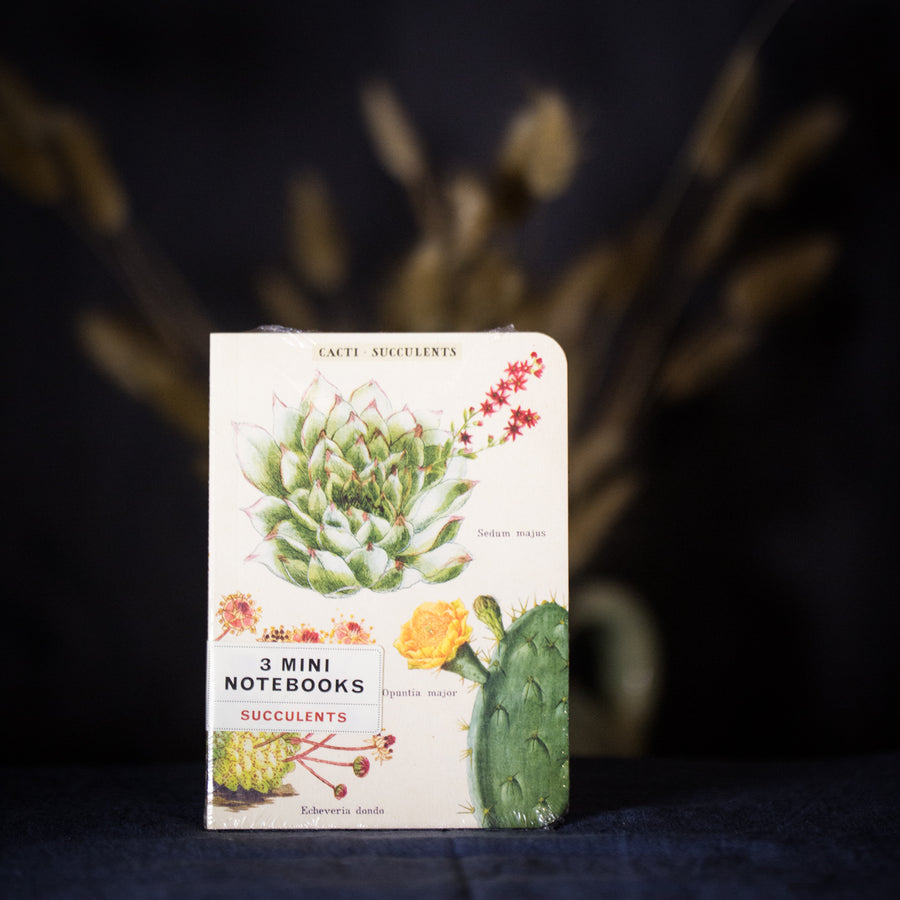 “Succulents” mini notebook set