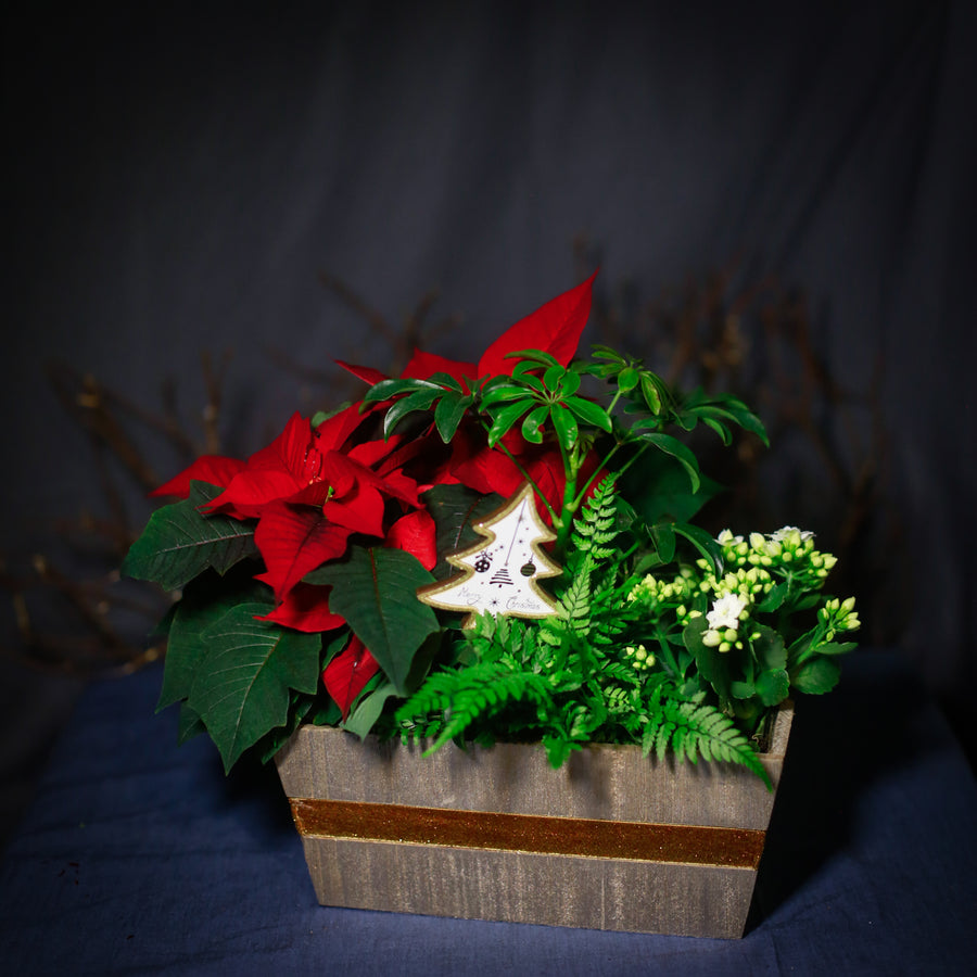 Wooden rectangular Christmas planter