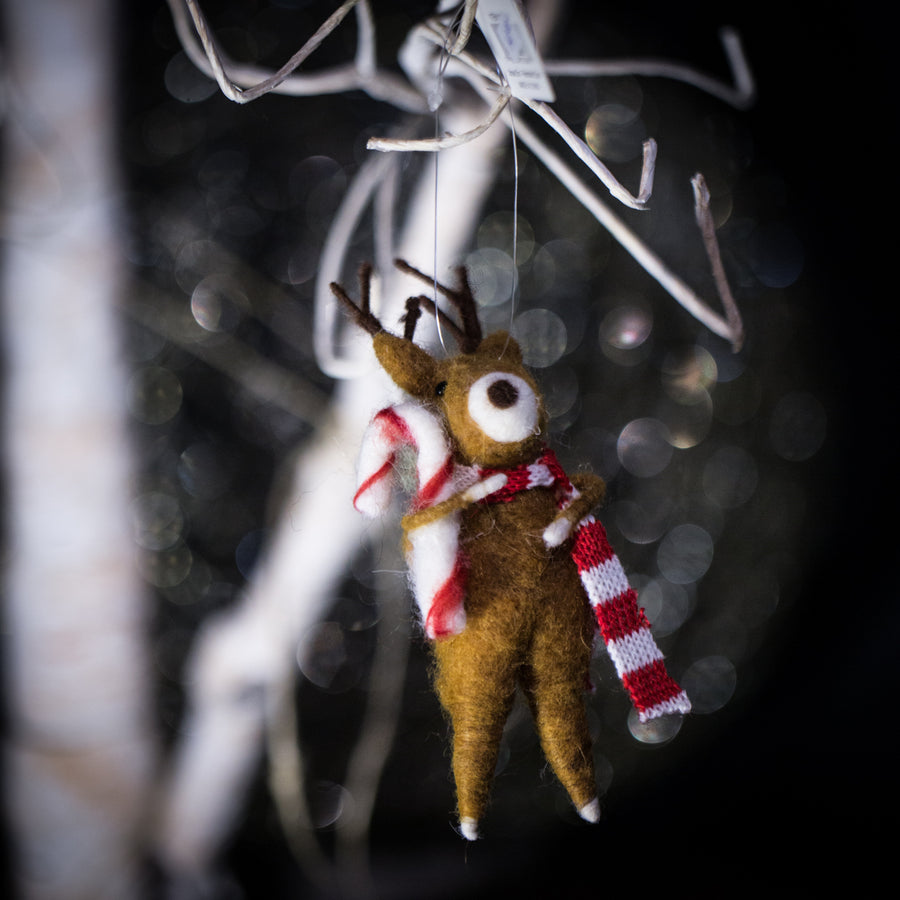 Reindeer with Candy Cane