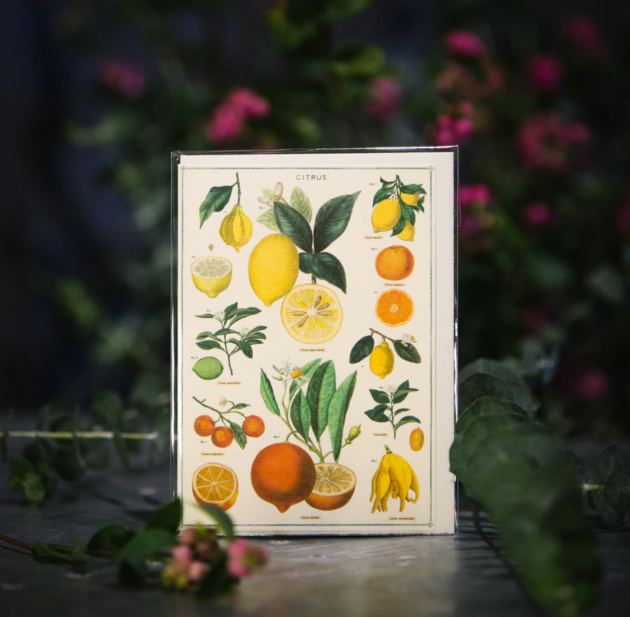 “Citrus” Card