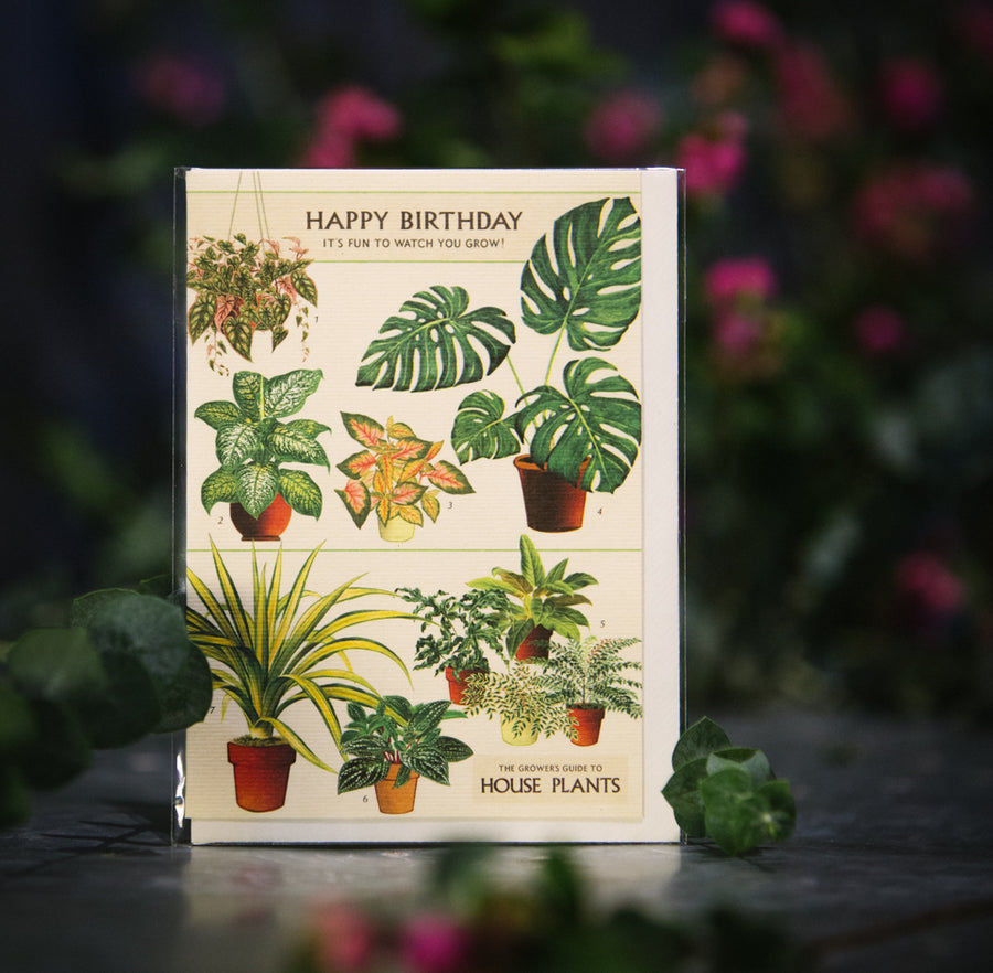 “Happy Birthday” House Plants Card