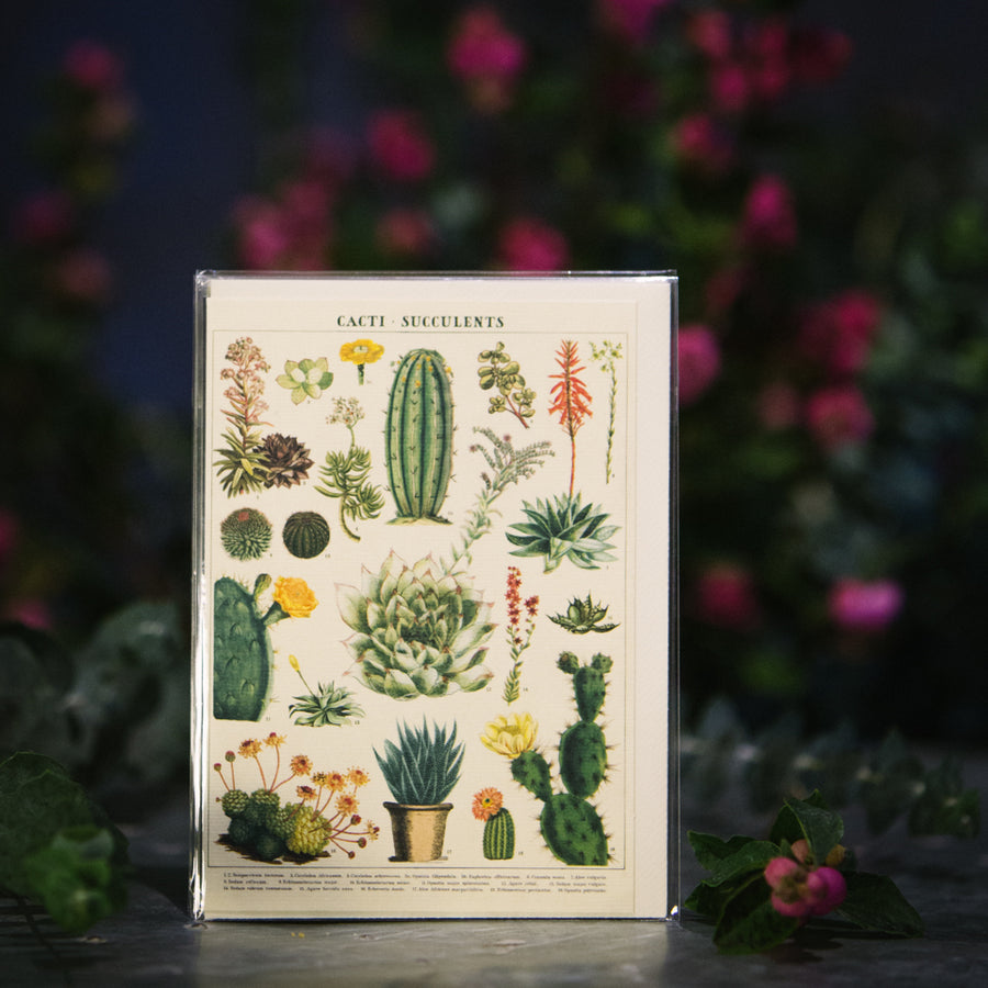 “Cacti and Succulents” Card