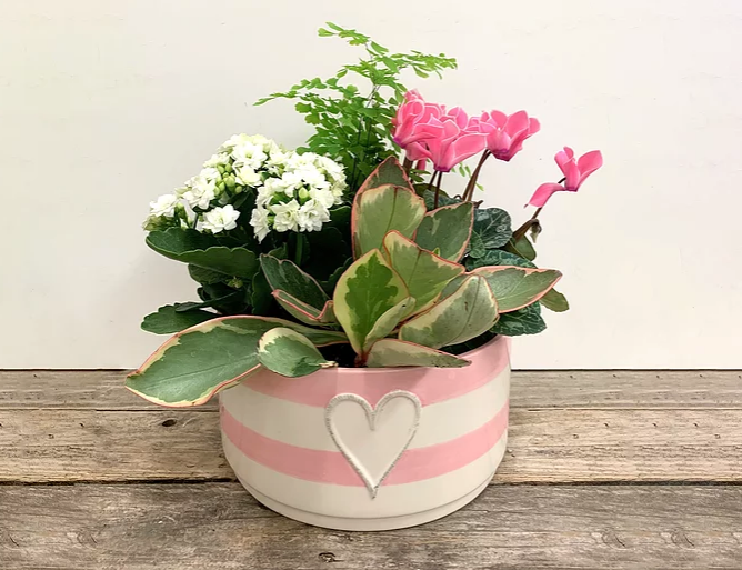 Mothers day mixed planter